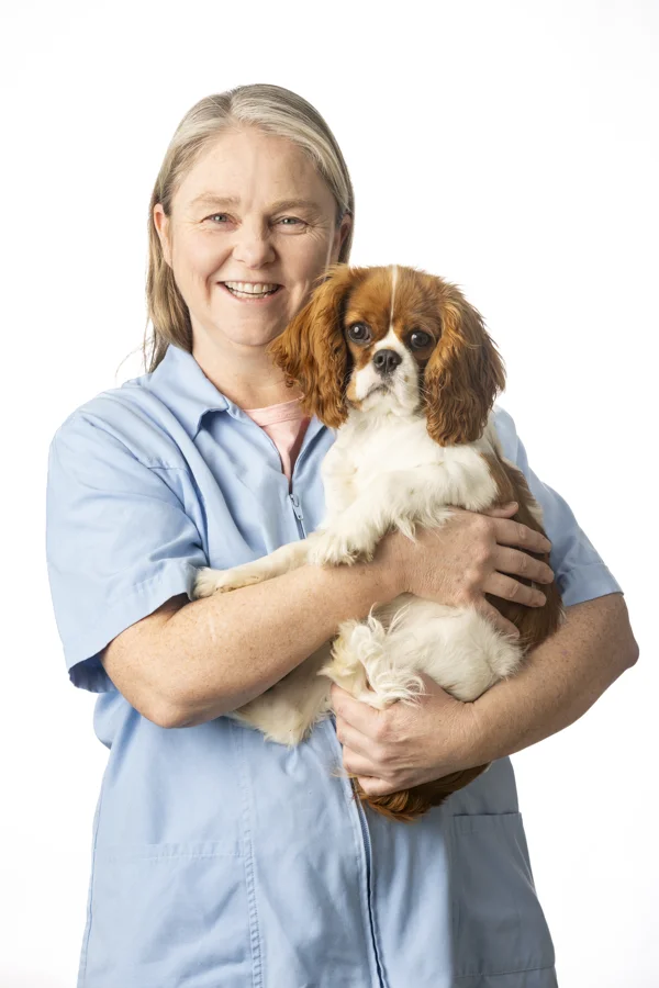Dr Kate Heading