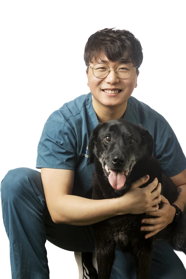 Dr Yunhan Wang